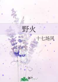 野火 封面