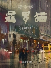 海边的暹罗猫 封面