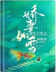 重生八零之娇妻如雪 封面