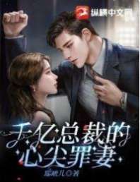 千亿总裁的心尖罪妻 封面