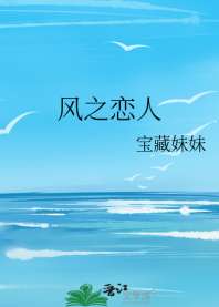 风之恋人 封面