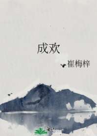 成欢 封面