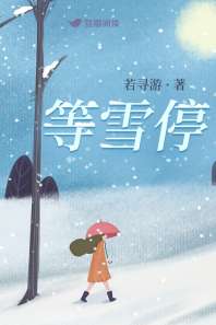 等雪停 封面