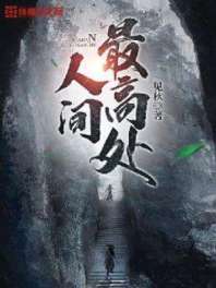 人间最高处 封面