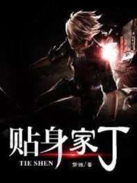 贴身家丁 封面