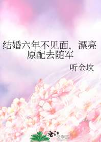 结婚六年不见面,漂亮原配去随军 封面