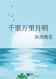 千里万里月明 封面