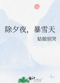 除夕夜，暴雪天 封面
