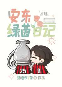 [足球]安东绿茵日记 封面
