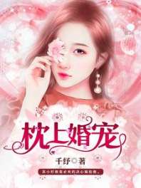 枕上婚宠 封面