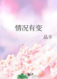 情况有变 封面