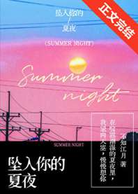 坠入你的夏夜 封面