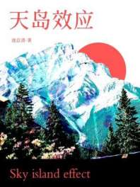 天岛效应 封面