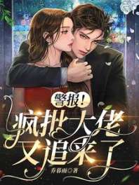 警报!疯批大佬又追来了 封面