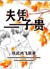 夫凭子贵 封面