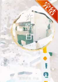 许愿日 封面