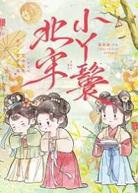 北宋小丫鬟 封面
