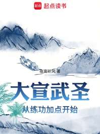 大宣武圣 封面
