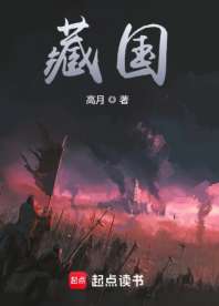 藏国 封面