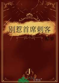 《别惹首席刺客》