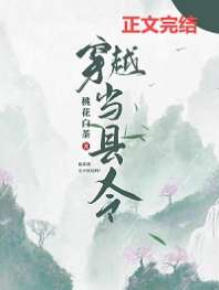 穿越当县令 封面