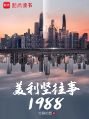 《美利坚往事1988》封面