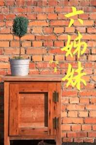 六姊妹 封面