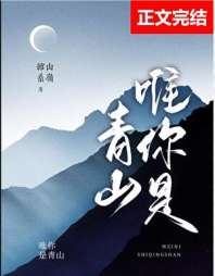 《我们走向康庄大道[九零]》封面