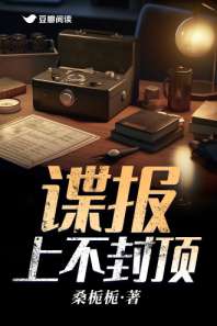 谍报上不封顶 封面