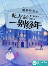 此去一别经年 封面