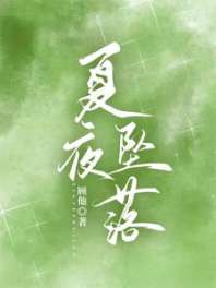 夏夜坠落 封面