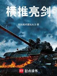 横推亮剑 封面