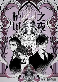 《栌城之夜》封面