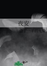 《夜安》封面