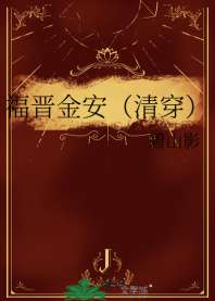 福晋金安（清穿） 封面