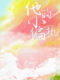 他的小偏执 封面
