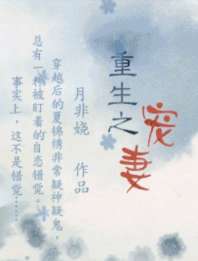 重生之宠妻 封面