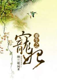 重生之宠妃 封面
