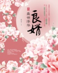 良婿 封面