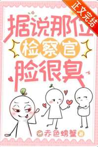 《据说那位检察官脸很臭》封面