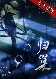 《归巢》封面