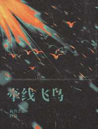《牵线飞鸟》