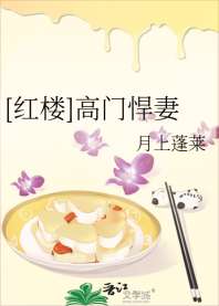 《[红楼]高门悍妻》