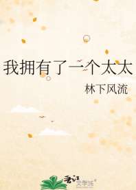 《我拥有了一个太太》封面