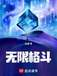 无限格斗 封面