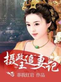 《摄政王追妻记》封面
