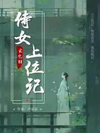 云之羽：侍女上位记 封面