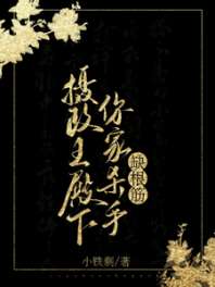 《摄政王殿下，你家杀手缺根筋！》