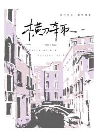 横刀夺取 封面