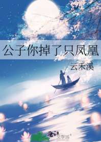 《公子你掉了只凤凰》